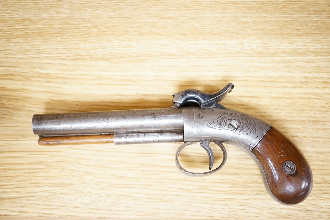 A double barrel American boxlock percussion pocket pistol with rounded frame roll engraved with foliage, and two-piece, bag shaped walnut grips